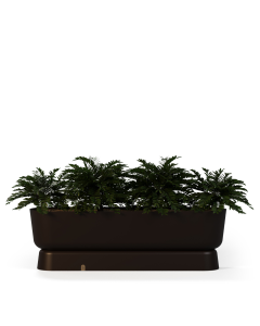 Eden Planter F
