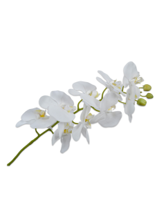 Orchid Stem White 100cm