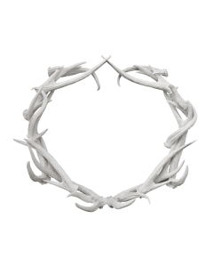 Antler Frost White Wreath 