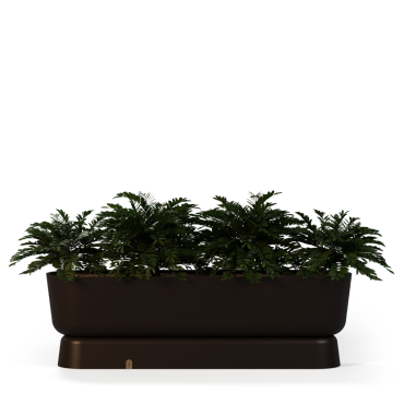 Eden Planter F