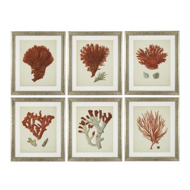 Antique Red Corals Prints - Set of 6