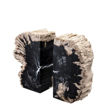 Opia Petrified Wood Bookend - Set of 2