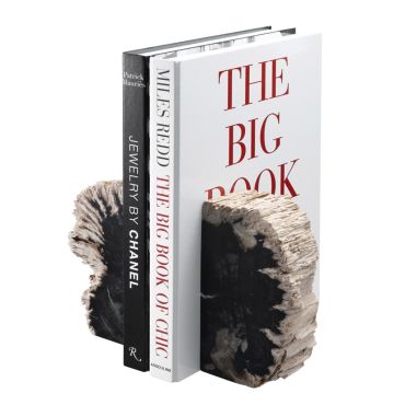 Opia Petrified Wood Bookend