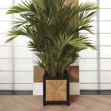 Aruba Planter