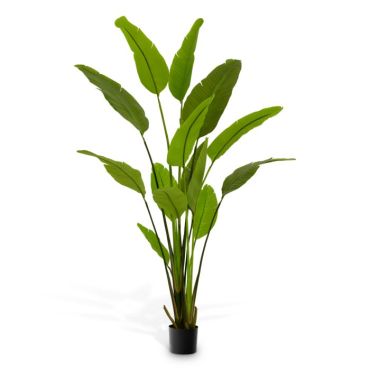 Strelitzia Medium Artificial Plant