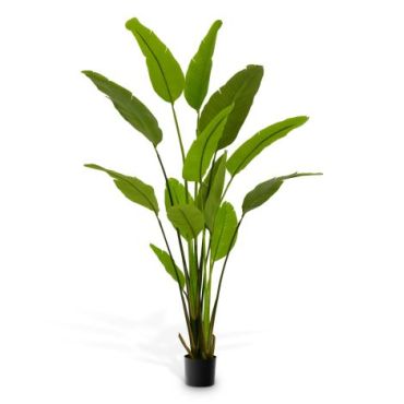 Strelitzia Large Artificial Plant