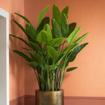 Strelitzia Medium Artificial Plant