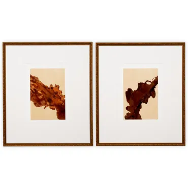 Mirage & Reverie by Bruno Bijaksic Print - Set of 2