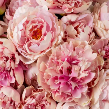 Bouquet of Peonies Soft Pink Real Touch 48 pcs/ 2 varieties