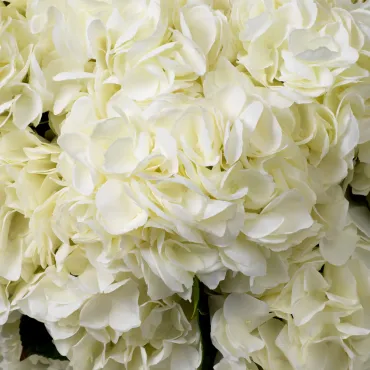Bouquet of Hydrangeas White Real Touch 48 pcs/ 2 varieties