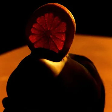 Vitamin Oral - Philippe Vogelenzang Print