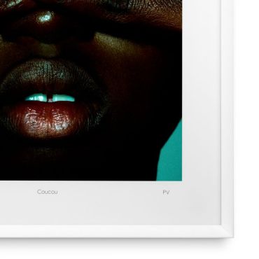 Coucou - Philippe Vogelenzang Print