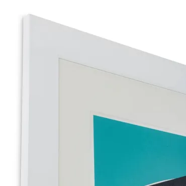 Print Silkscreen from Boissière I by Henri Boissiè