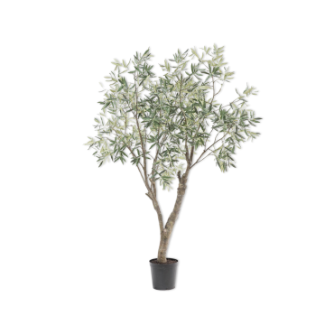 Olive Tree Green 198cm