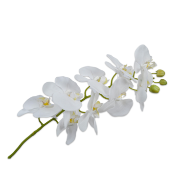 Orchid Stem White 100cm