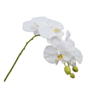 Orchid Stem White 79cm