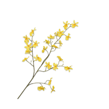 Orchid Spray Yellow 100cm