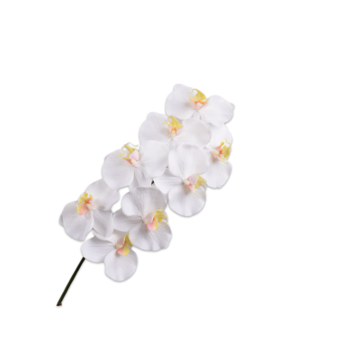 PHALAENOPSIS STEM WHITE RT 78 cm