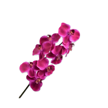 PHALAENOPSIS STEM PINK RT 78 cm