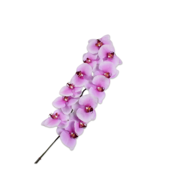 PHALAENOPSIS STEM WHT/FCH RT 106 cm