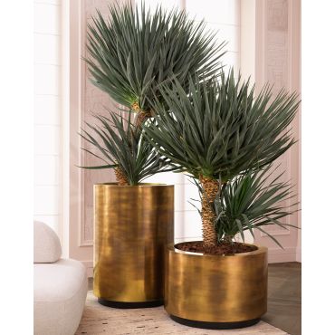 Jasper Round Vintage Brass High Planter