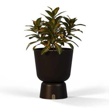 Eden Planter B