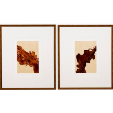 Mirage & Reverie by Bruno Bijaksic Print Set of 2