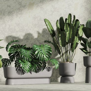 Eden Planter F
