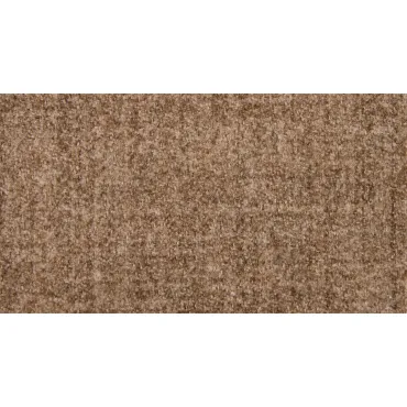 Rembrandt Tweed