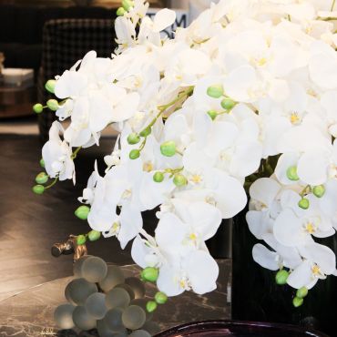 Orchid Stem White 79cm